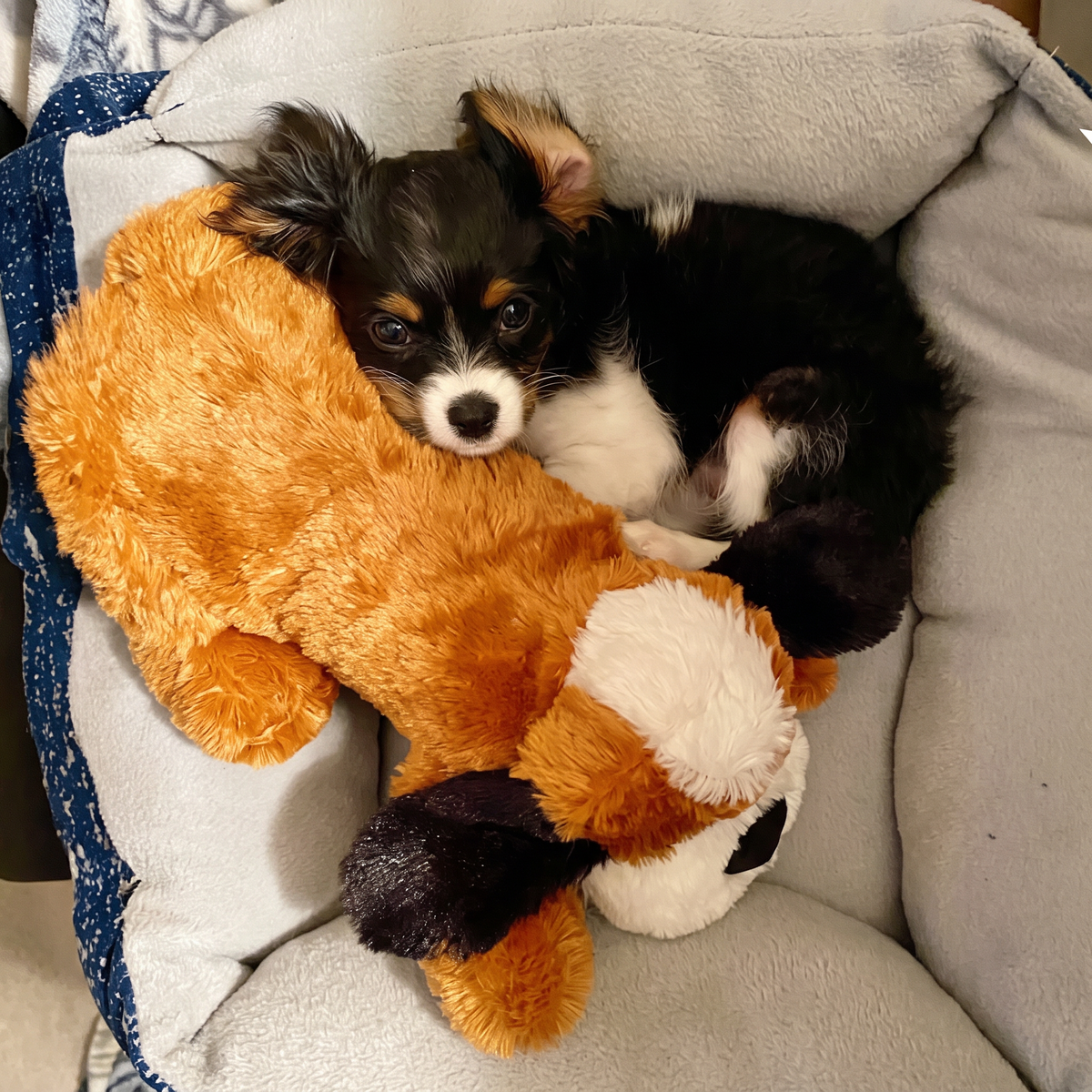 Nirelis™ Heartbeat Comfort Puppy